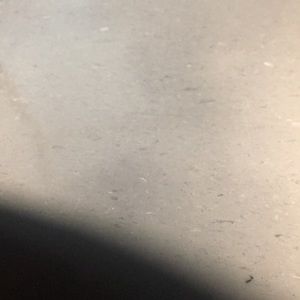 Meet your Posher, Gavin